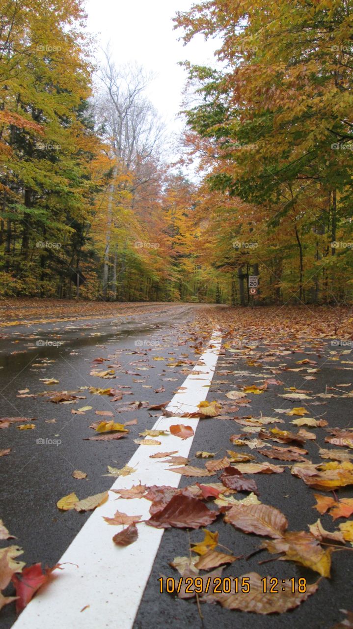 Northern Michigan 