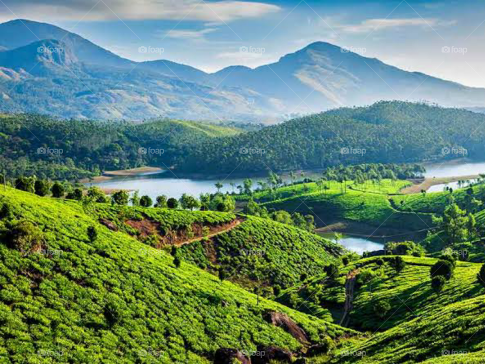 The Beautiful Nature Vibes