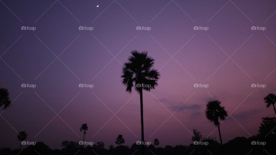 colored sky with a tiny moon embedded