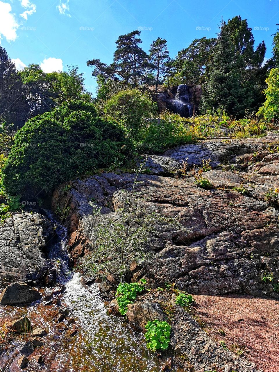 Bothanical garden with water fall