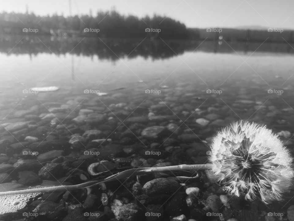 Water, No Person, River, Reflection, Lake