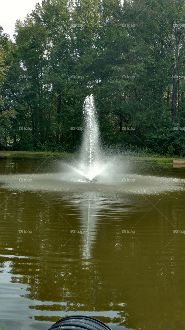 Water, No Person, Nature, River, Outdoors