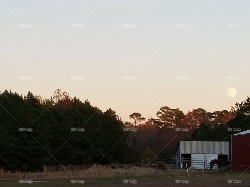 No Person, Tree, Landscape, Outdoors, Sky