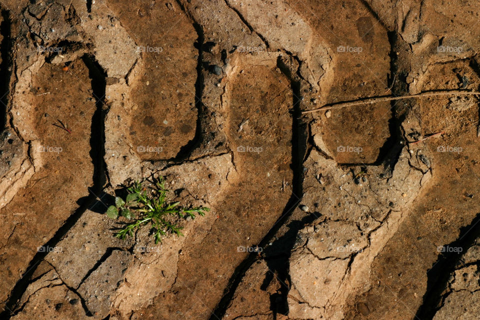 terrain nature car macro by hlehnerer