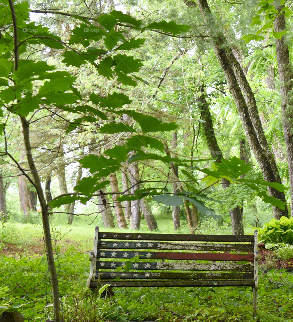 Old patriotic wooden bench 