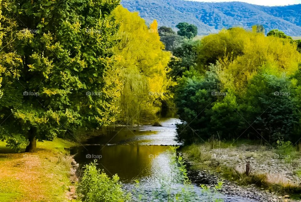 An amazing camping spot.