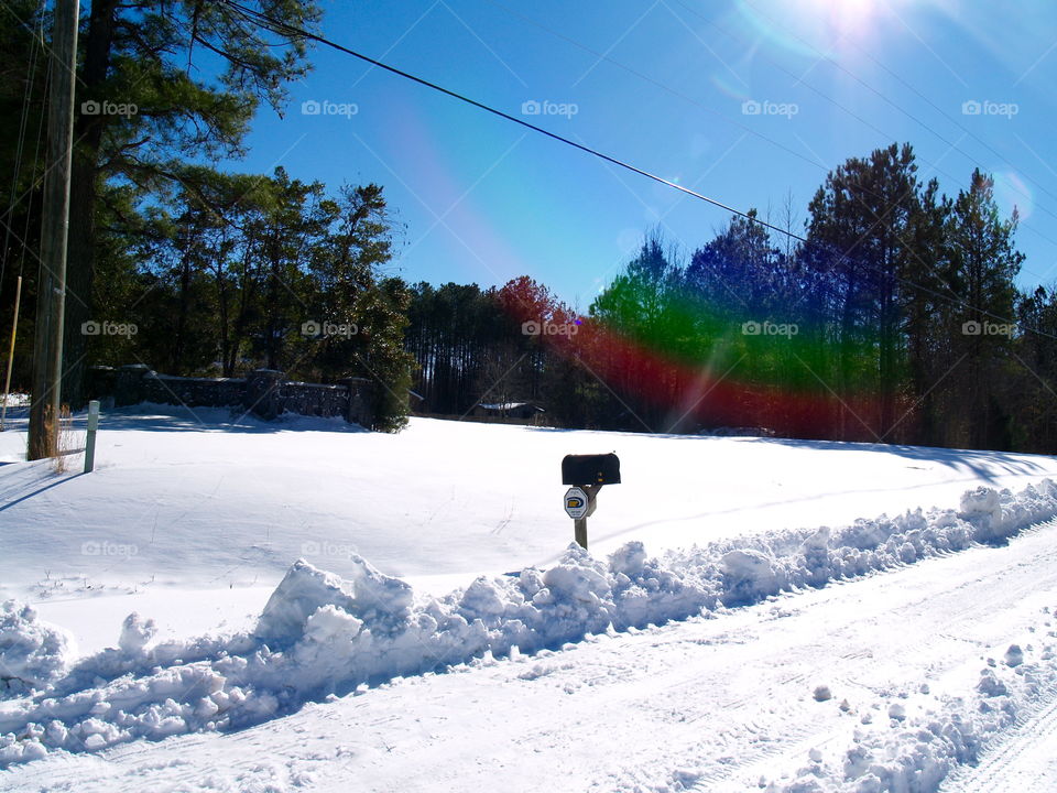 Snowy yard