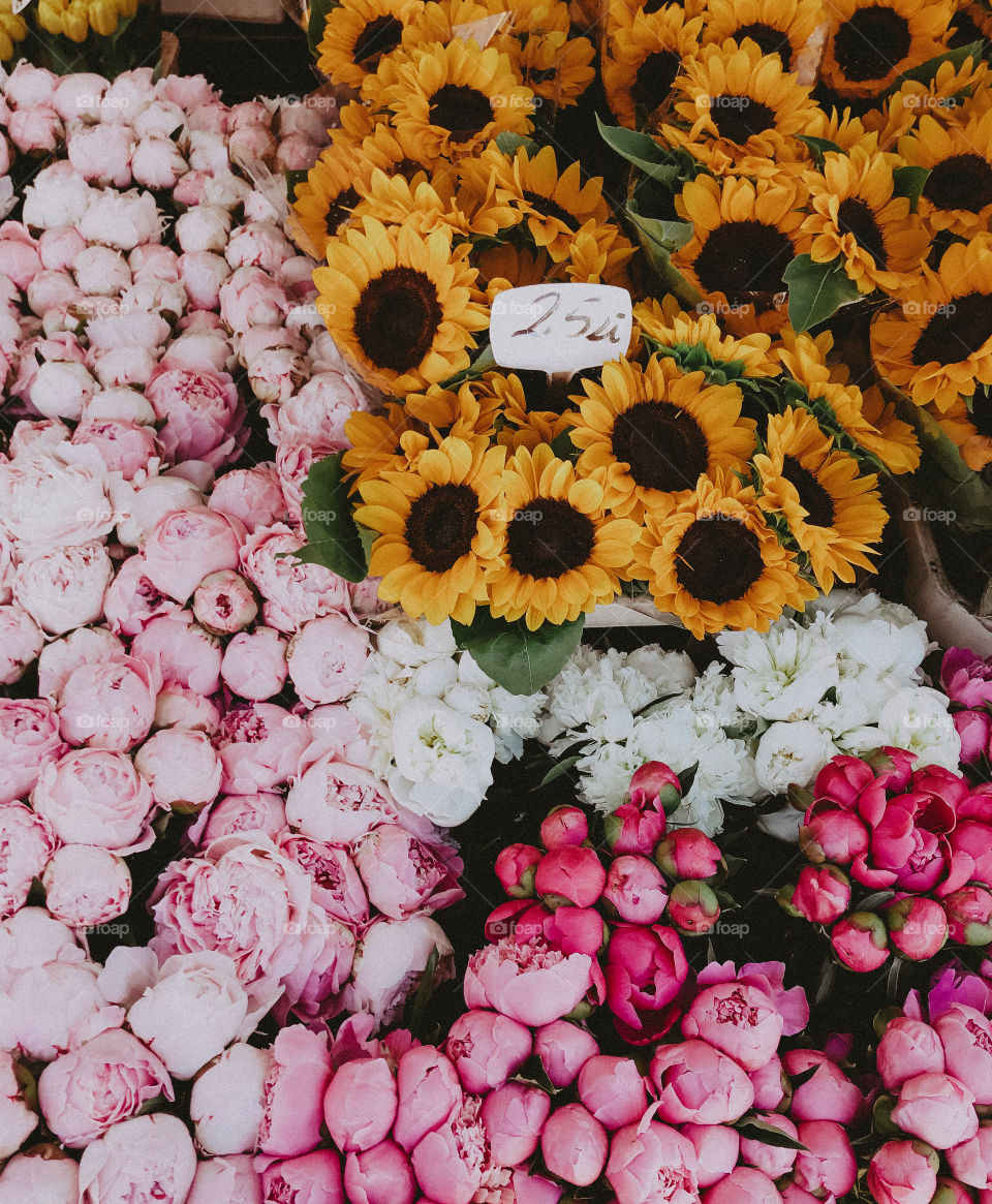 Sunflowers and peonies 