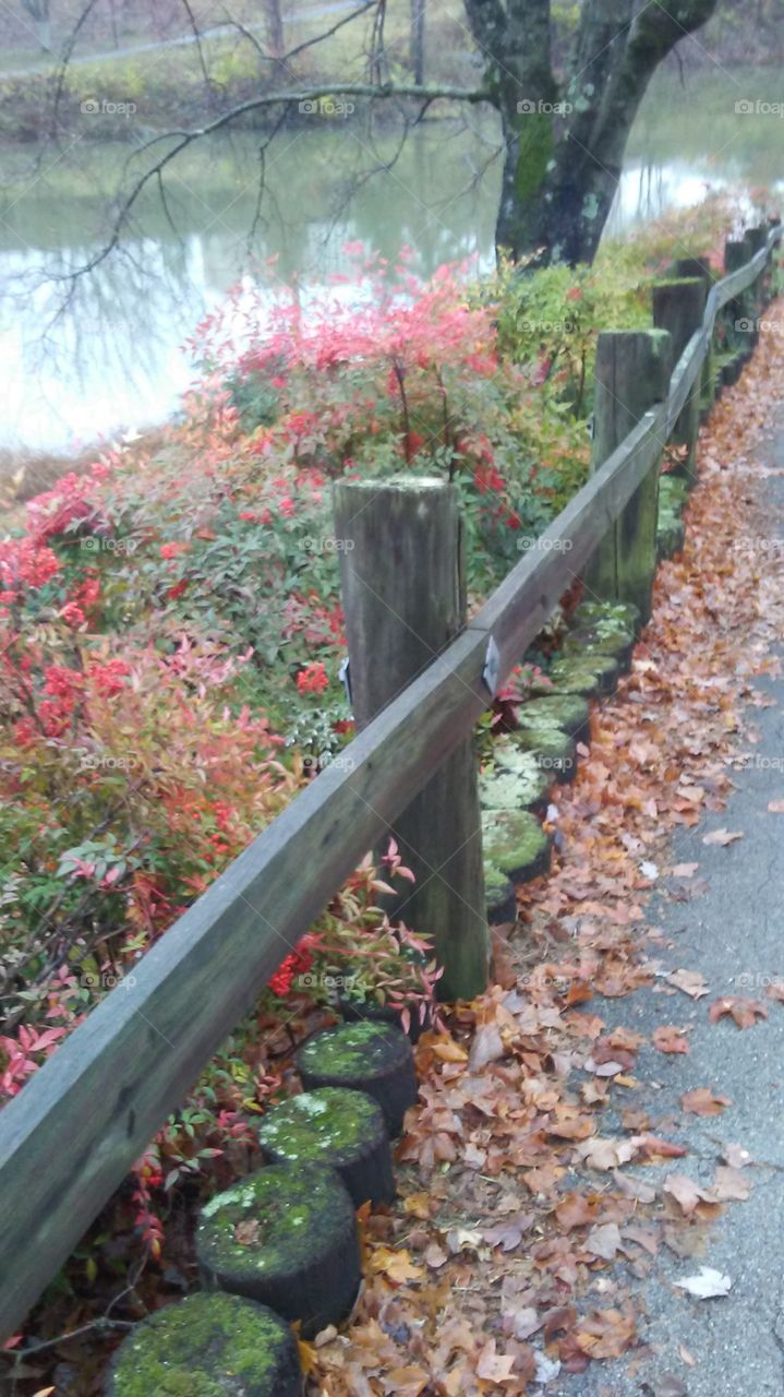 Greenbelt park walkways in late fall.