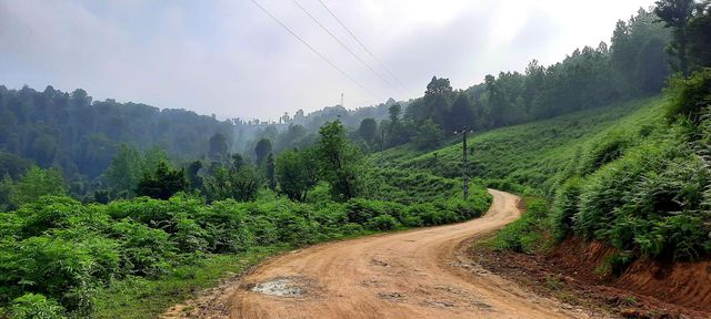 Road to Alborz mountains