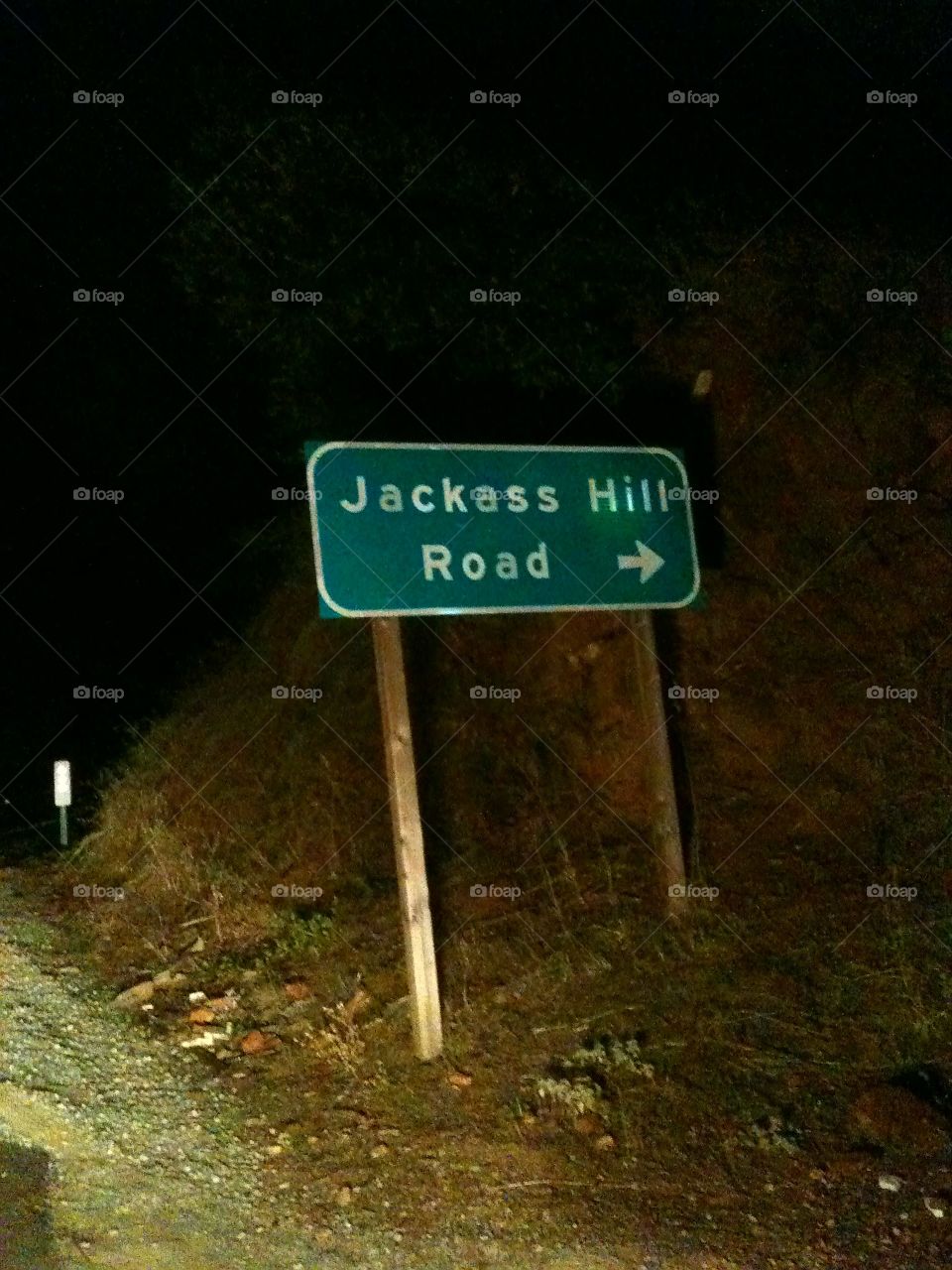 jackass road, California