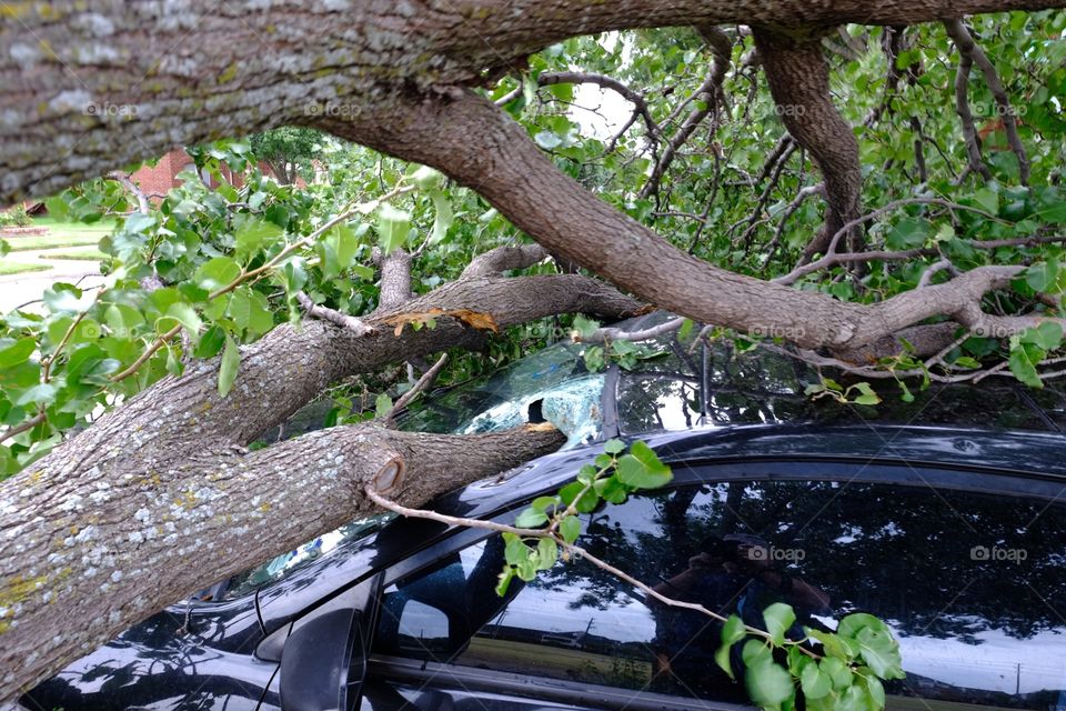 Parking in the shade - not the expected results