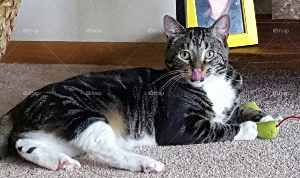 Oscar