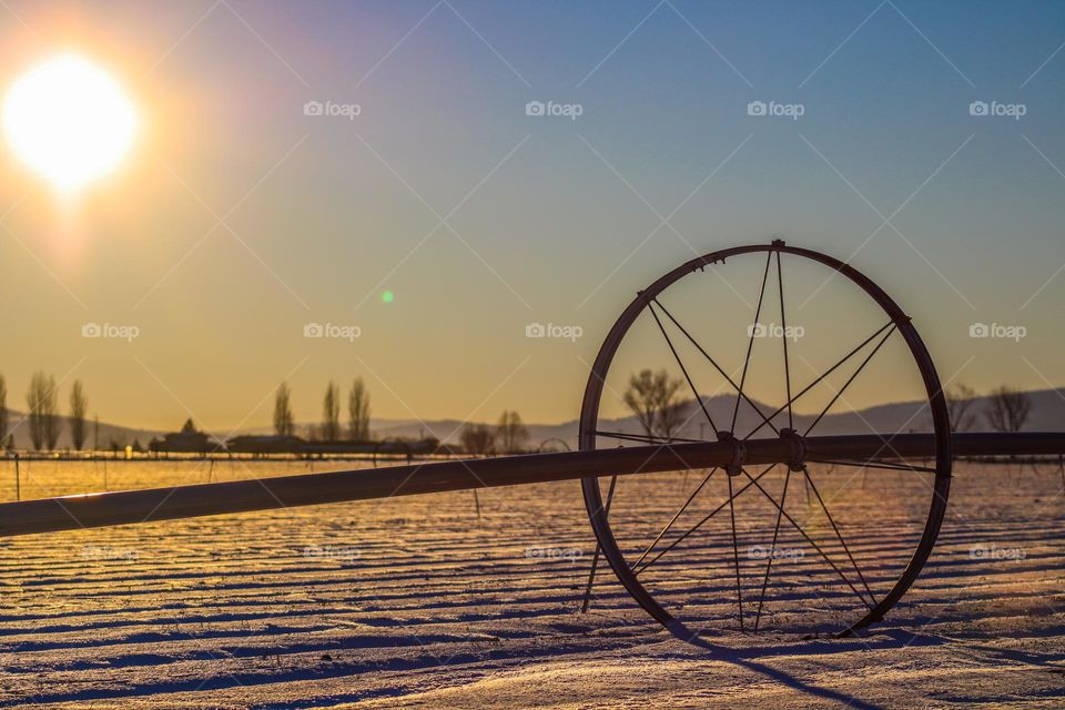 Winter morning on a snowy farm in Oregon 
