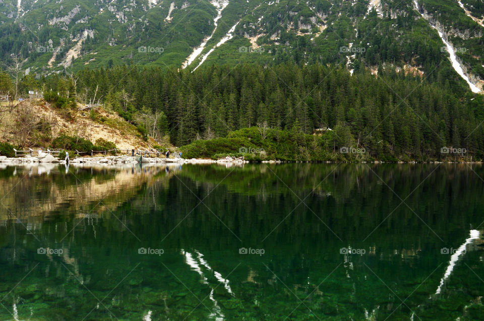 Reflection of forest in lake