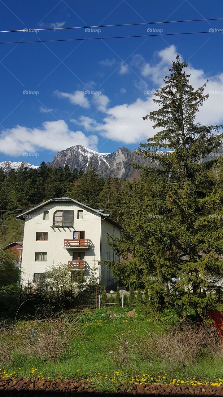 The house in the mountains