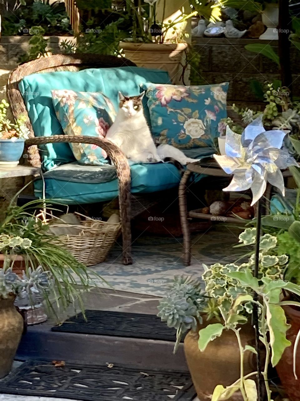 Sunday afternoon on the porch 