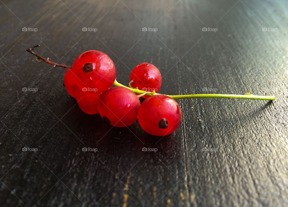 Close up red berries