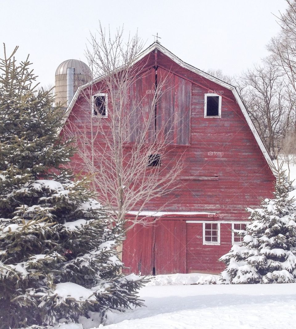 Red Barn