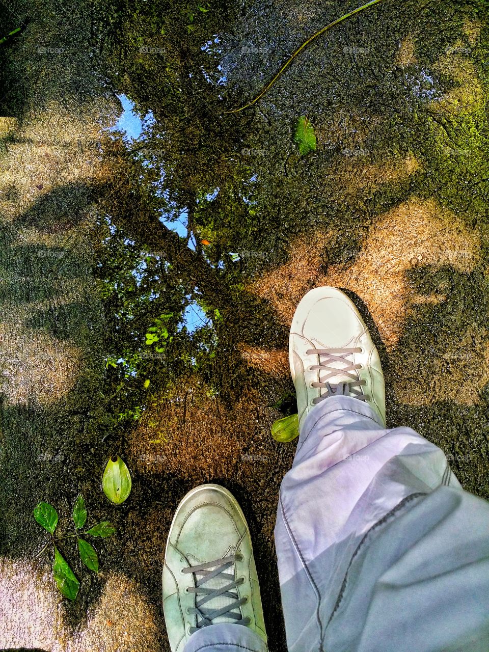 A walk in the garden after the rain stops. Relax and enjoy.