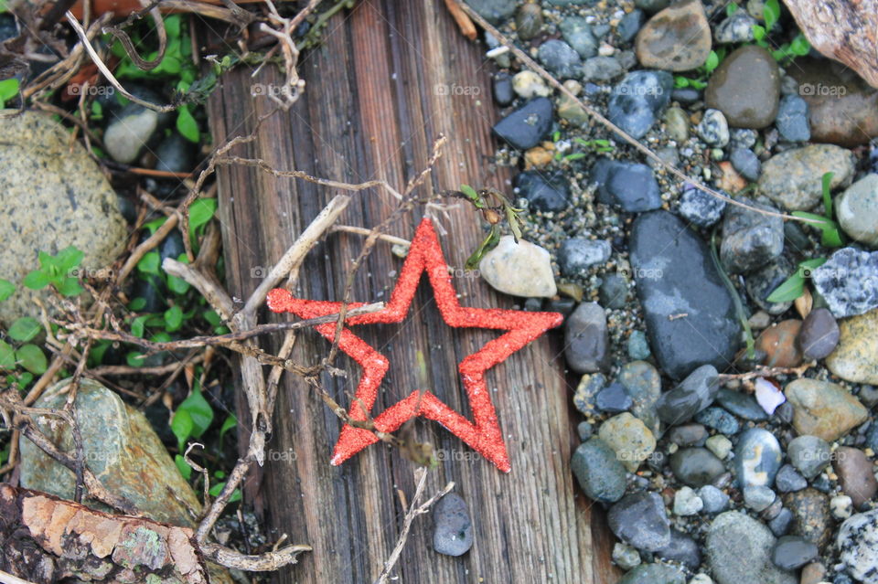 A sparkly red star Christmas decoration photographed at the beach on my morning walk with the pups. The contrast of colours and textures made nature look very festive!