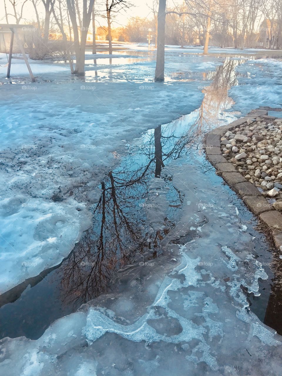 Spring brings lots of melting snow in our backyard. The reflection of the trees in the trench dug by my husband look stunning in the afternoon light. 