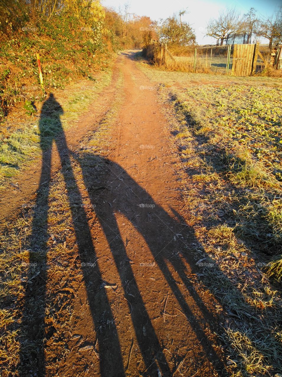 fog gassi, Hundegassi