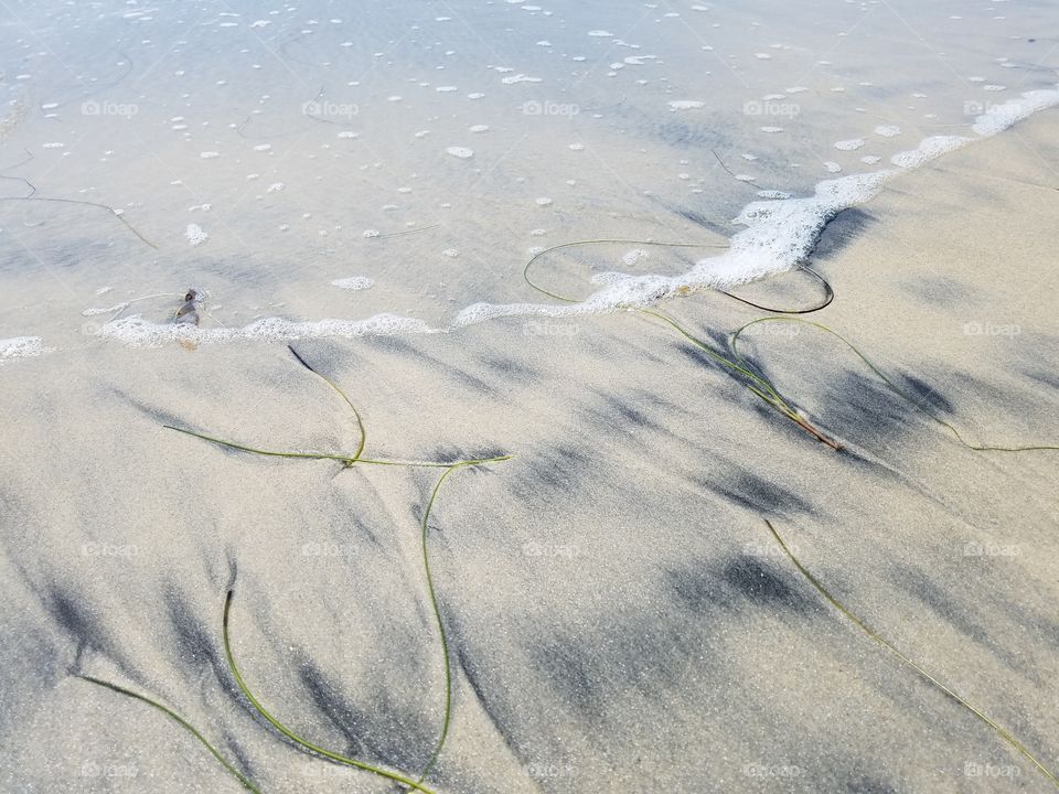 Sea grass and waves on the beach