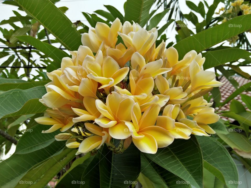 Colors of 2021: Ultimate grey and illuminating