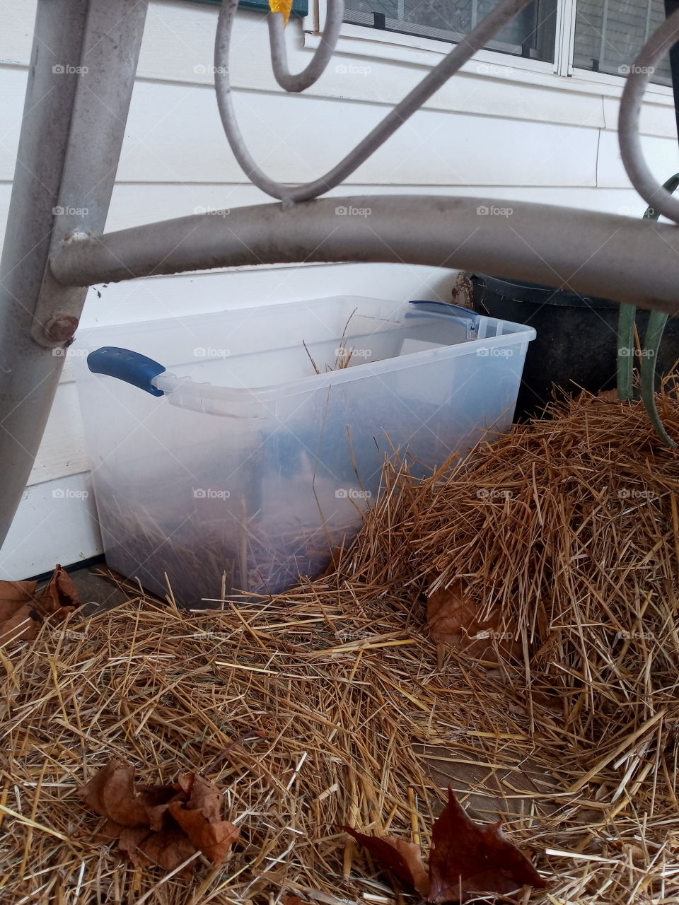 peek a boo I can see you but you can't see me I'm hiding from all the crazy people.