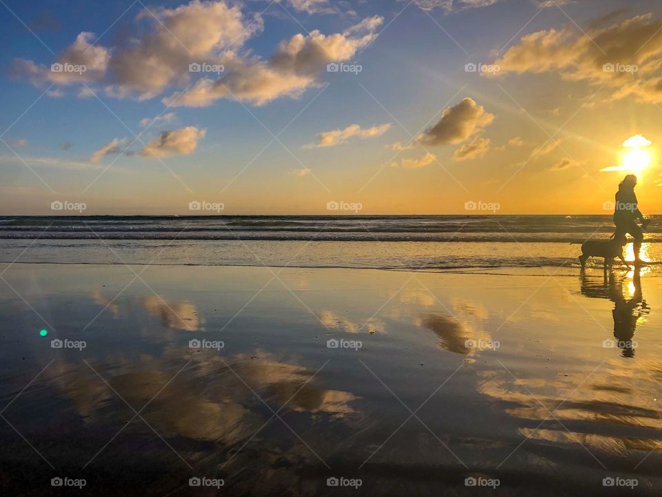 another pup enjoying a colorful San Diego sunset