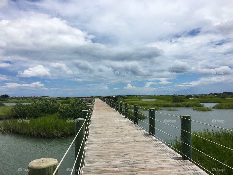 Sam Augustine Florida 