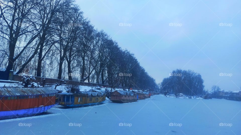 Kashmir the Heaven
Never let the fear of striking out keep you from playing the game