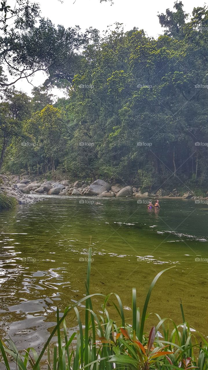 Mossman Gorge