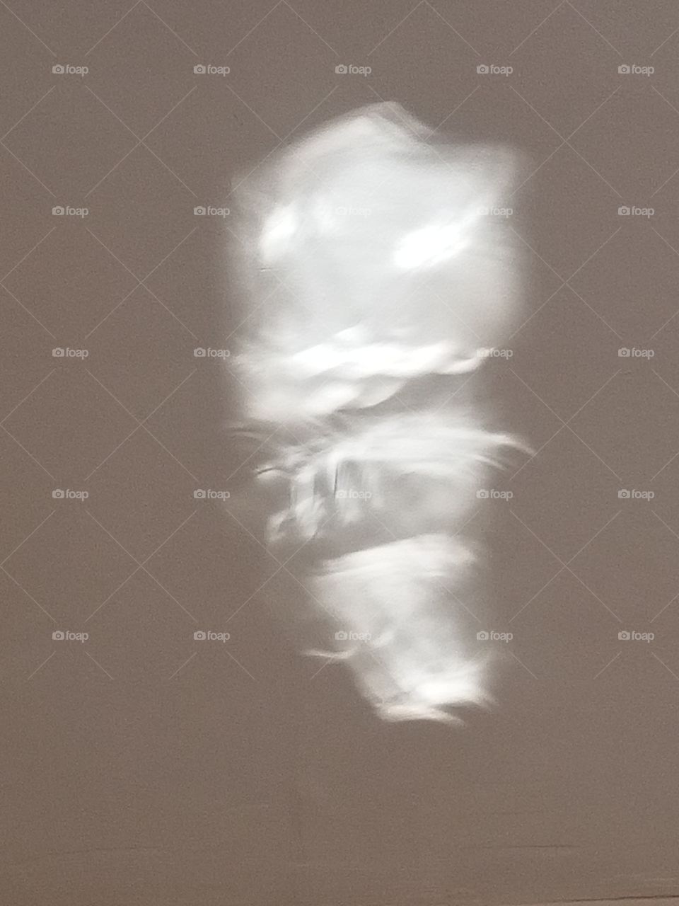 Apparition of a Squirrel