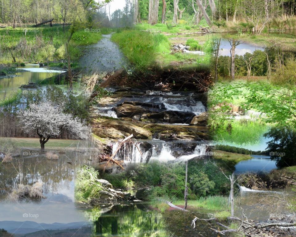 nature collage