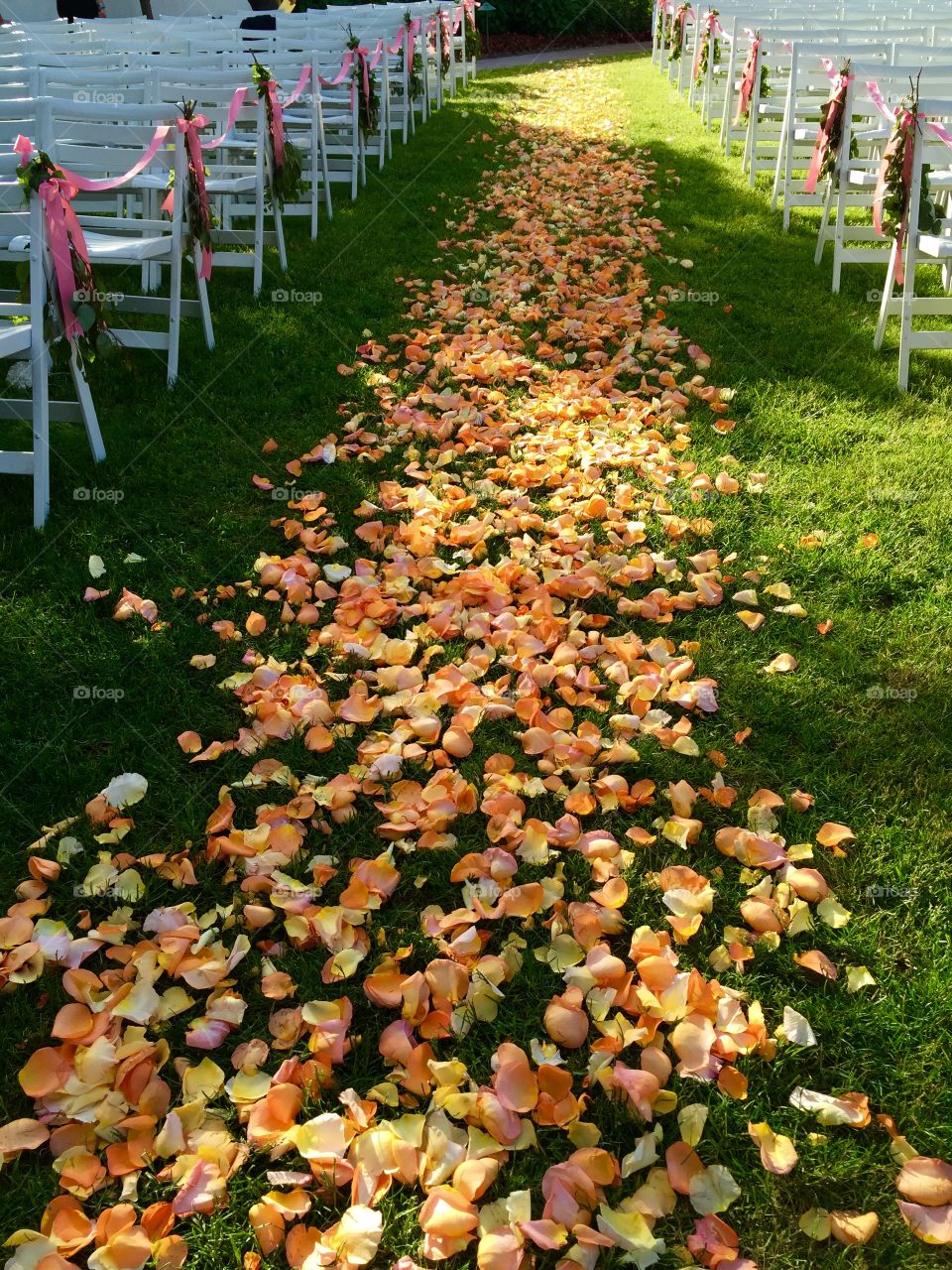 Rose petal strew aisle 