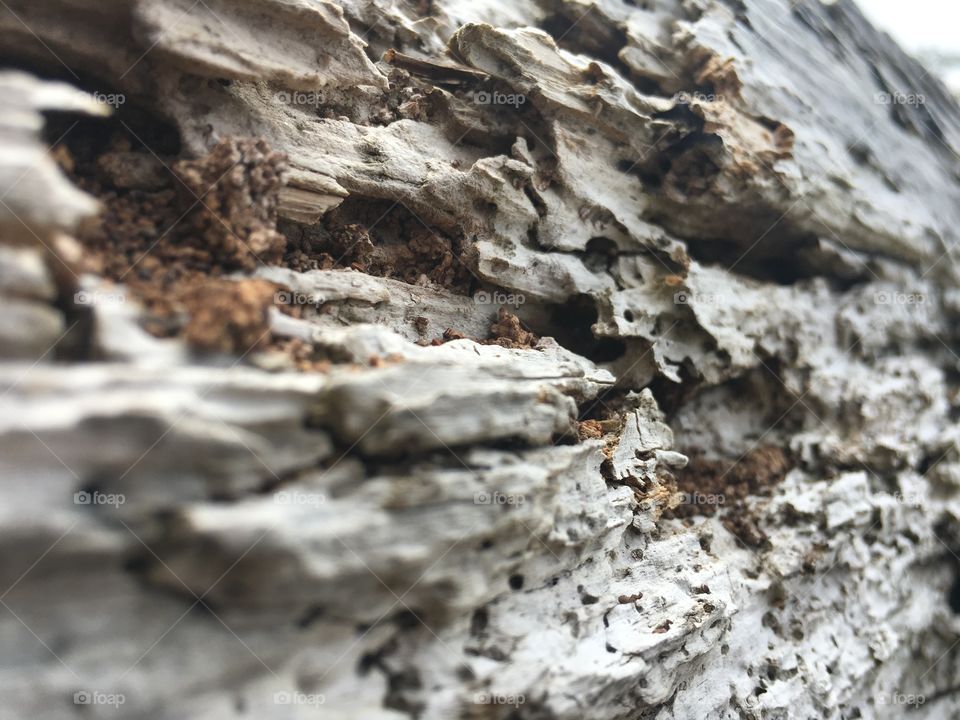 No Person, Nature, Outdoors, Rough, Texture