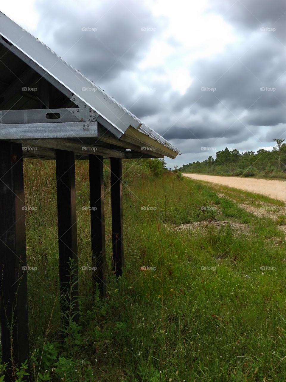 Hiking trail in the country.