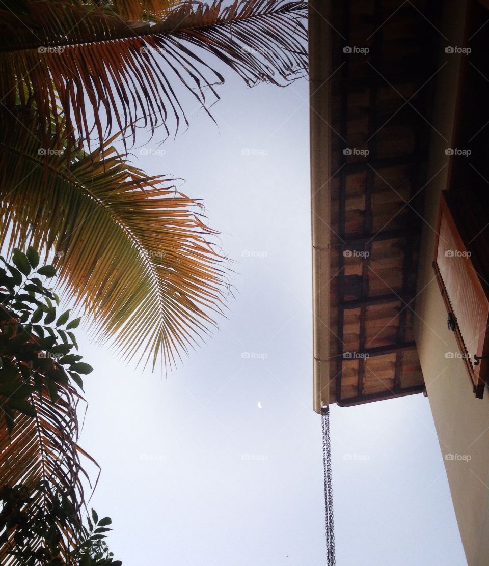 Low angle view of a house and tree