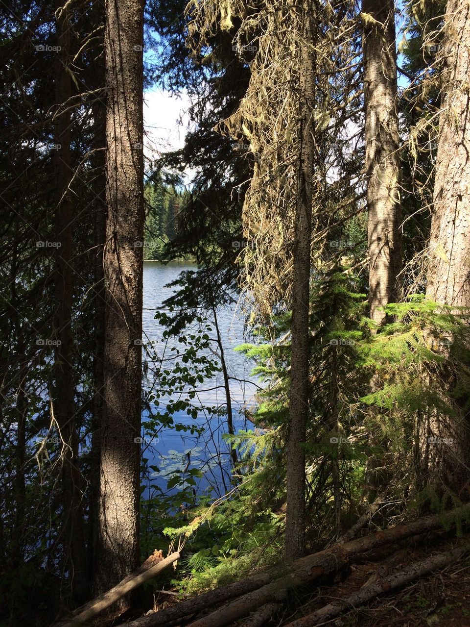 Lake in the mountains
