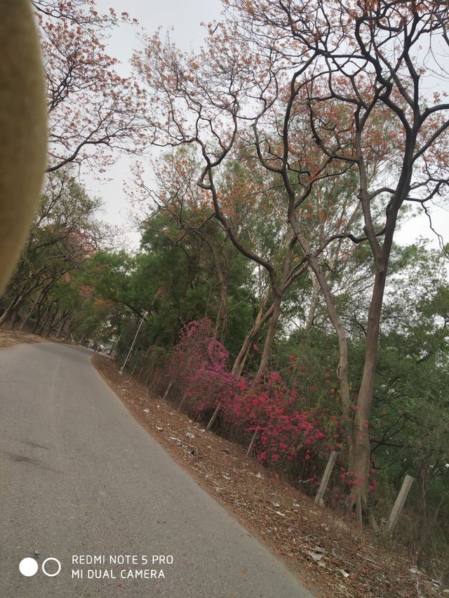 Good day