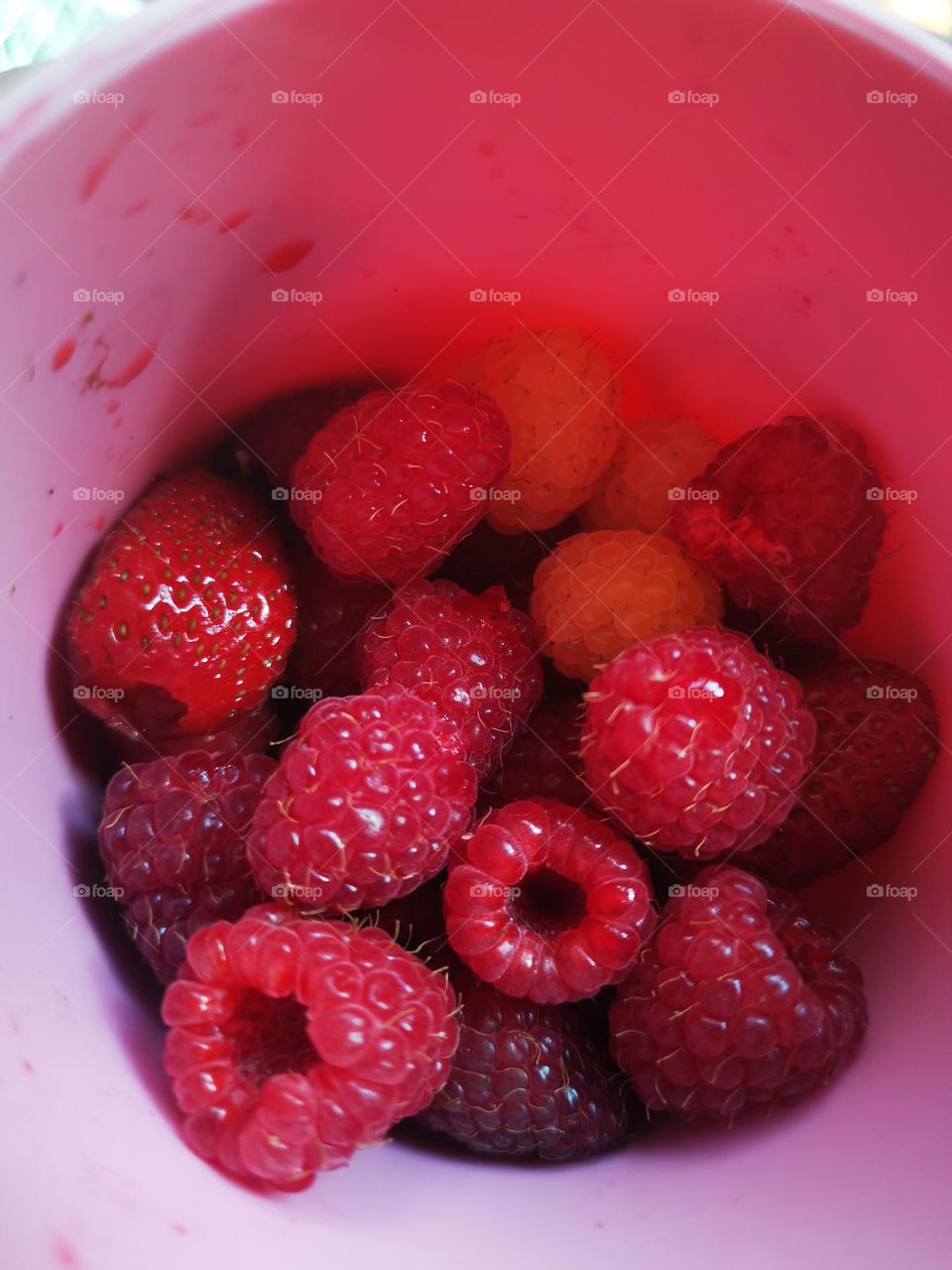 Raspberries
