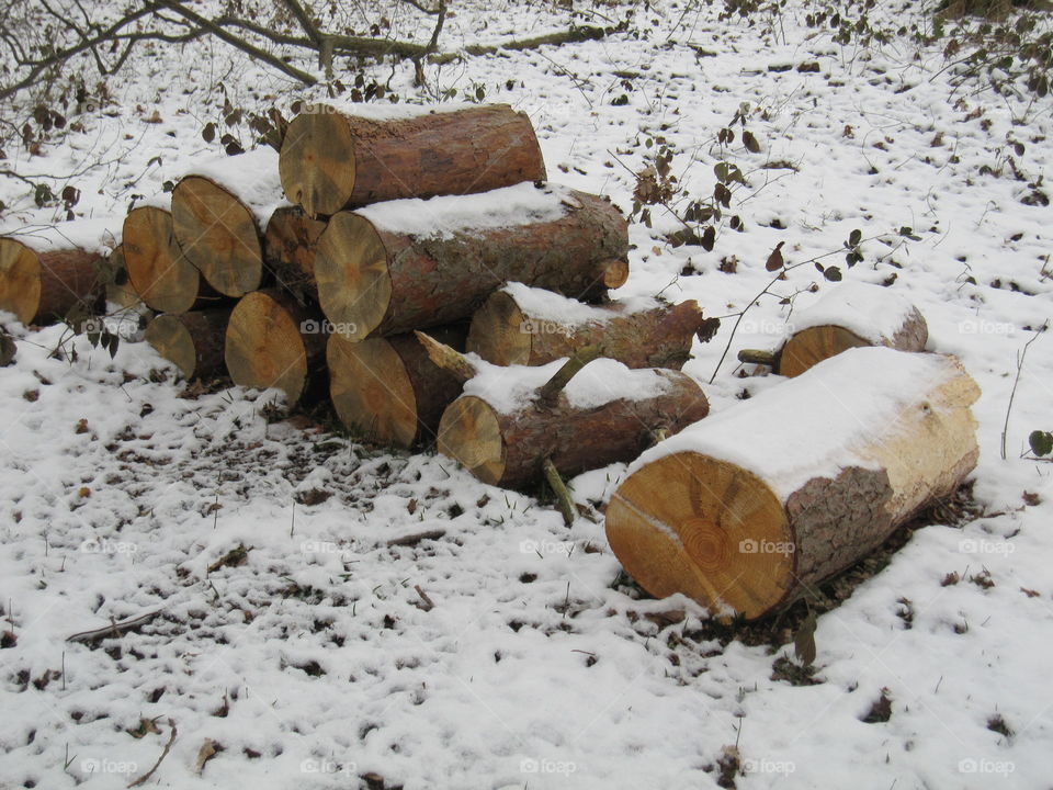 Stacked Logs