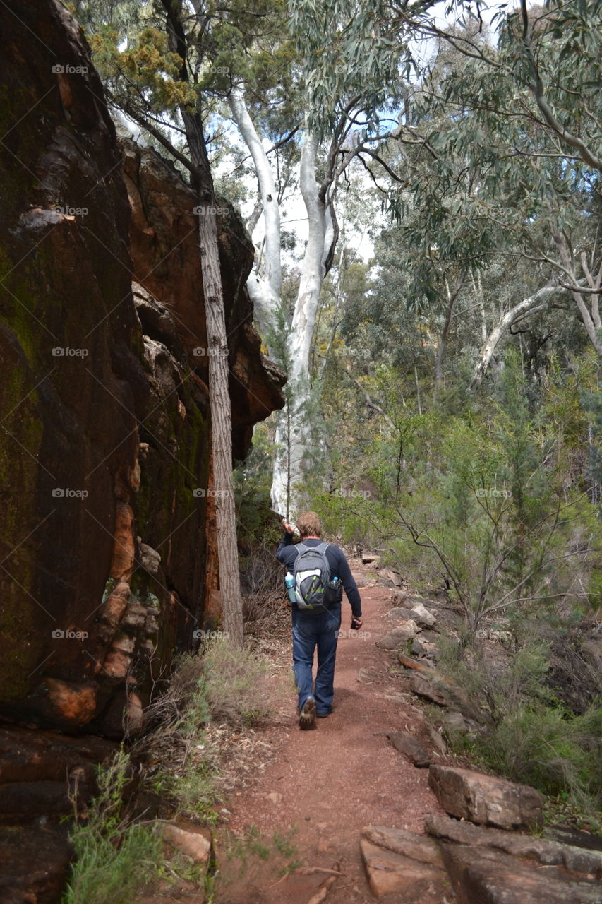 Hiker with backpack on mountain trail flanked by rock faces, south Australia 