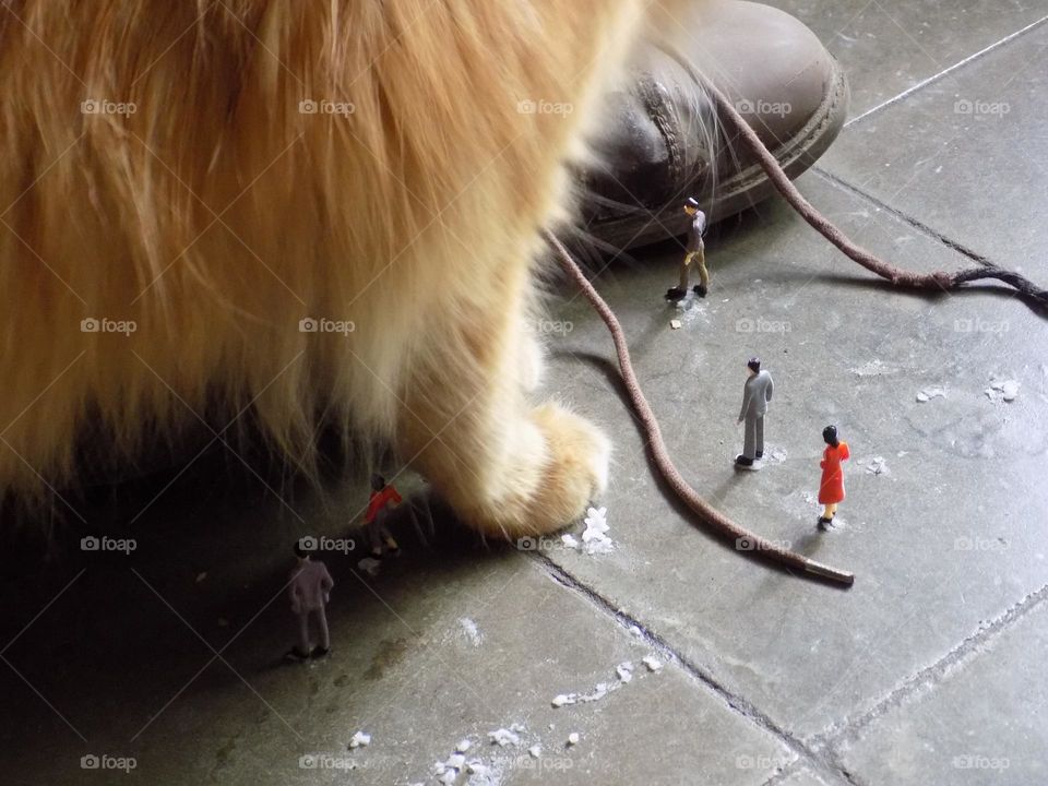 The world of liliput, a giant cat came all of a sudden