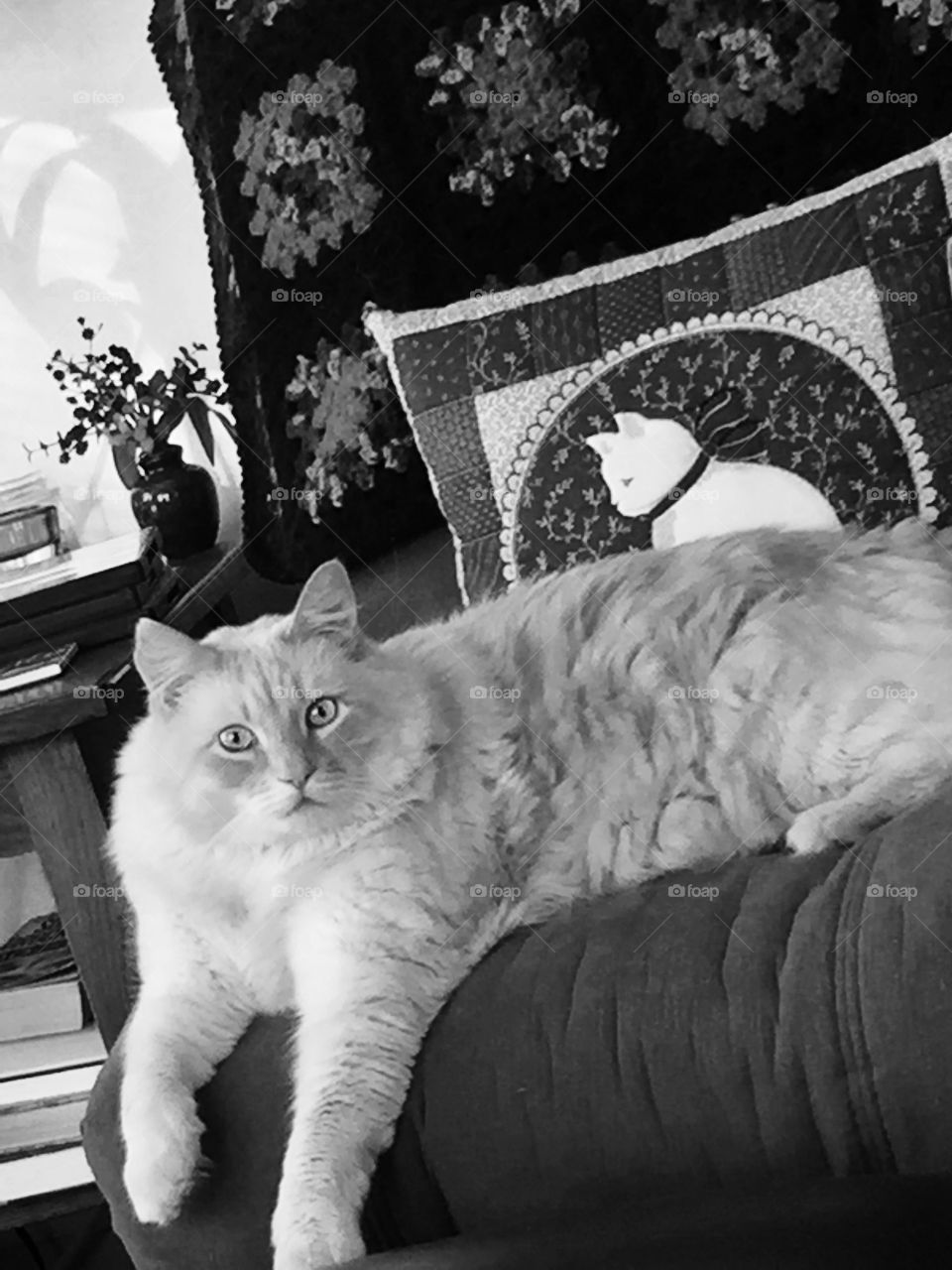 Lazing on a Sunday morning 