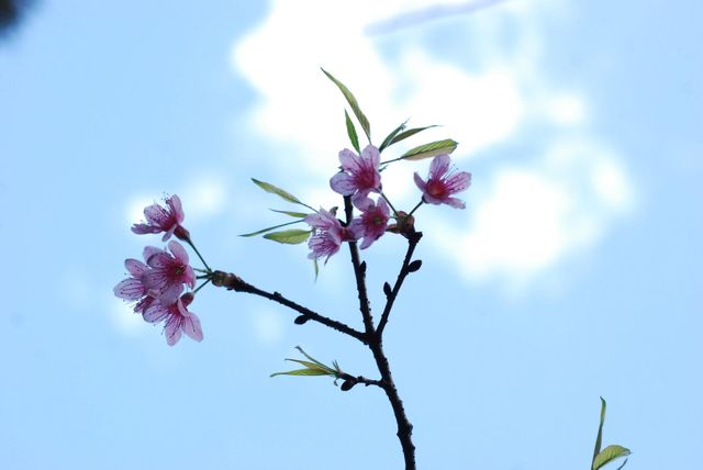 Beauty in detail 🌸