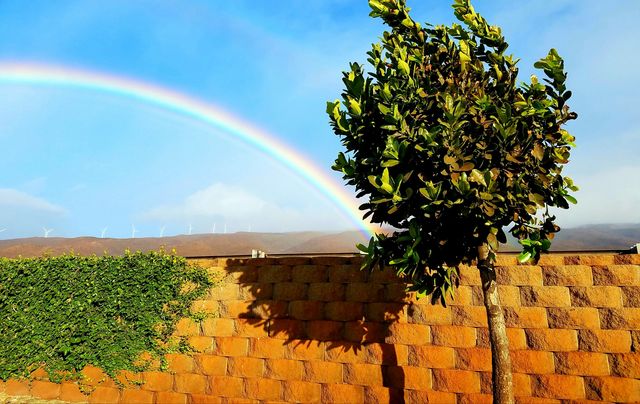 Over the Rainbow