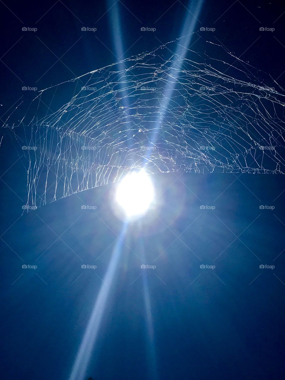 Web sun